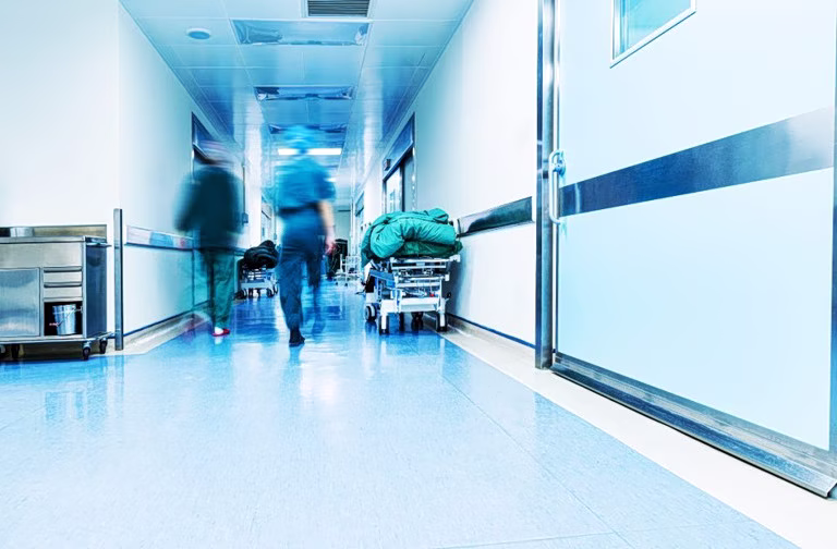 Λαμία: 30χρονος στη ΜΕΘ μετά από τσίμπημα αράχνης ενώ εργαζόταν σε χωράφι